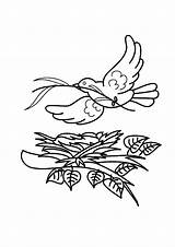 Bird Coloring Nest Flying Pages Over Her Color Getdrawings Getcolorings sketch template