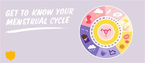 get to know your menstrual cycle ellaone uk