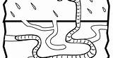 Underground Coloring Pages Animals Worm sketch template