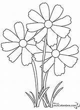 Flowers Nature Coloring Coloriage Fleur Pages Printable Bouquet Drawing Drawings Kb sketch template