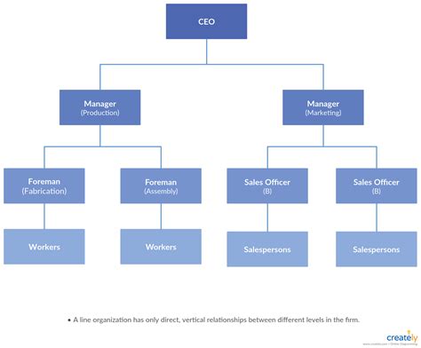 7 types of organizational structures for companies organizational