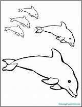 Coloring Pages Dolphin Printable Dolphins Kids Pink Porpoise Baby Print Getcolorings Color Realistic Fun sketch template