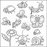 Coloring Pages Insect Insects Color Bugs Colouring Kids Pdf Printable Preschool Garden Sheets Print Getdrawings Book Online Zini Animal sketch template