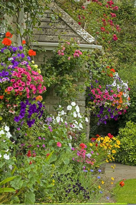 cottage garden stock image  science photo library