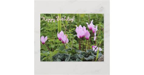 happy birthday winter flowers postcard zazzle