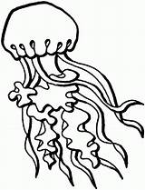 Jellyfish Coloring Pages Print sketch template