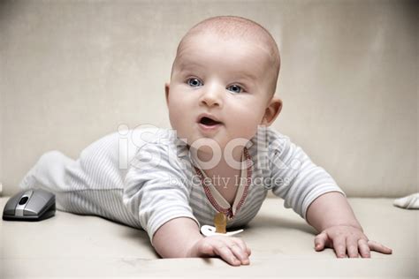 cute toddler stock photo royalty  freeimages