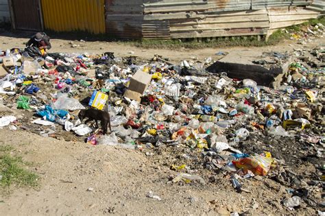 september  media release illegal dumping   stop