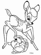 Bambi Bamby Thumper Disegni Coloriages Panpan Tambor Ausmalbilder Hellokids Bojanke Colorier Ausmalen Films Colorare Lescoloriages Pulando Bambis Freunden Besten 1363 sketch template