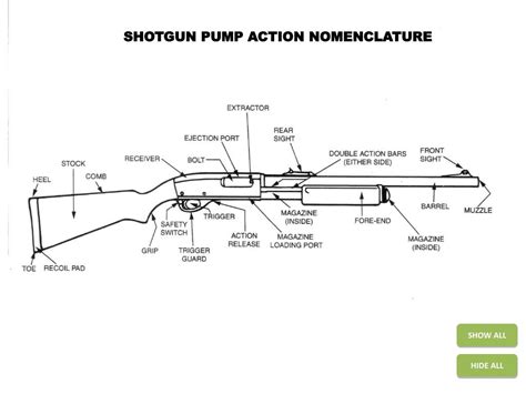shotgun pump action nomenclature powerpoint
