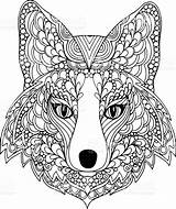 Erwachsene Fuchs Kostenlose Ausmalen Tieren Lowe sketch template