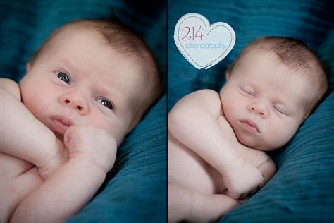 baby  newborn  photography