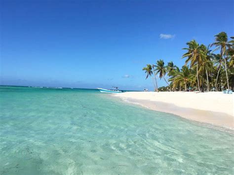 Tourist’s Guide To Saona Island A Paradise In The
