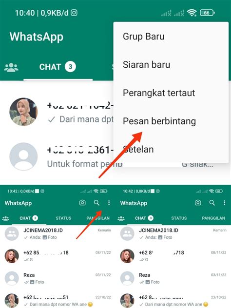 melihat pesan berbintang  whatsapp jcinemaid