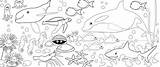 Sea Coloring Animal Under Pages Print Animals Sketches Kids Color Preschool Underwater Coloringtop Paintingvalley Template sketch template