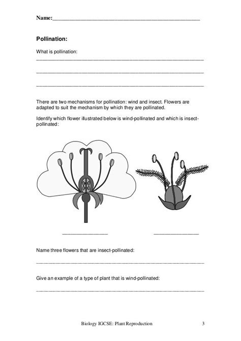 flower structure and reproduction worksheet flowers and reproduction