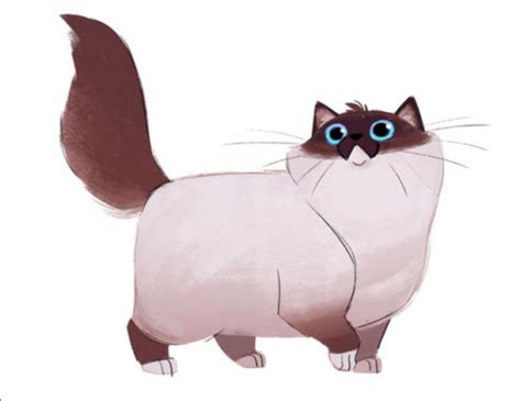 pin  aslandicoon suporeko  pose references cat doodle cat