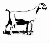 Goat Nubian Goats Cabras Boer Cliparting Siluetas Cabra Transparent Clipground sketch template