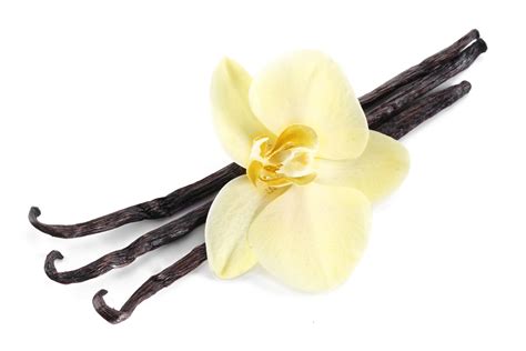 health benefits  vanilla