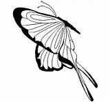 Wings Butterfly Coloring Large Coloringcrew sketch template