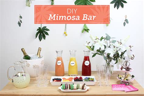 create  ultimate mimosa bar lydi  loud