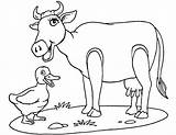 Kleurplaat Koe Koeien Kleurplaten Sapi Mewarnai Kuh Cows Coloriages Bergerak Vache Mucca Mucche Animaatjes Gifs 1881 Animate Stemmen sketch template