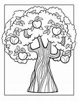 Macieira Picking Colorironline Apples Woojr sketch template