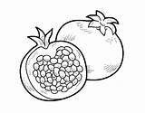 Pomegranate Coloring Drawing Fruit Pages Coloringcrew Sketch Seeds Getdrawings Fruits Template sketch template