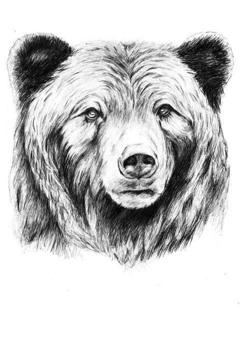 grizzly jasmin luenstroth flickr grizzly bear tattoos bear face