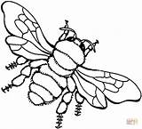 Bee Coloring Pages Drawing Honey Bees Printable Supercoloring Color Clipart Printables Outline sketch template