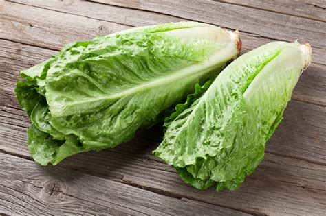 lettuce advertshosts