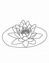 Lily Coloring Pages Flowers Pad Getcolorings sketch template