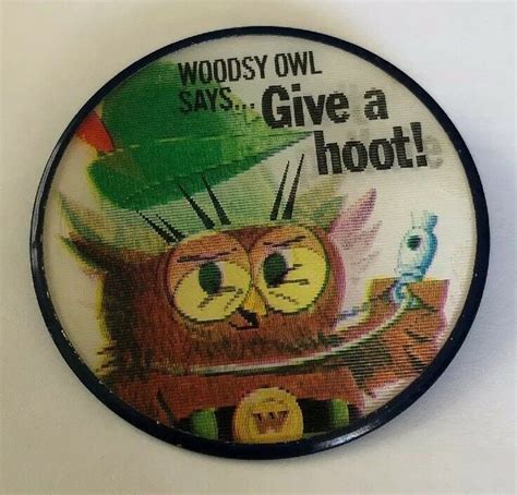Vintage Woodsy Owl Vari Vue Flicker Button Pin Give A Hoot Don’t