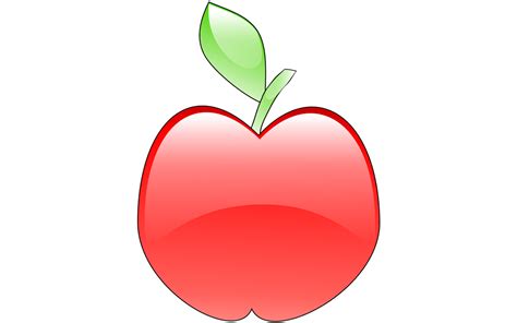gambar buah apel png 21 sketsa gambar apel lengkap mudah 3d beserta