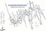 Cave Canyon Caverns Carlsbad Slaughter Caves Map Real Look Osr Props Trail sketch template