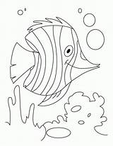 Coloring Water Pages Fish Kids H2o Colouring Flutter Animals Color Sheets Just Add Plants Printable Drawing Monet Underwater Clipart Claude sketch template