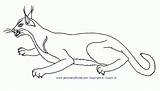 Coloring Caracal Pages Cat Lynx Popular Library Clipart sketch template