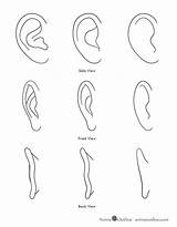 Ear Oreja Animeoutline Realistic Zeichnen Ohren Techniques Tecnicas Anleitung Refs Besuchen Simplified sketch template