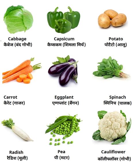 vegetables   english