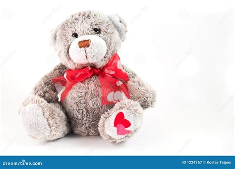 sweet teddy bear stock image image  bears object animal