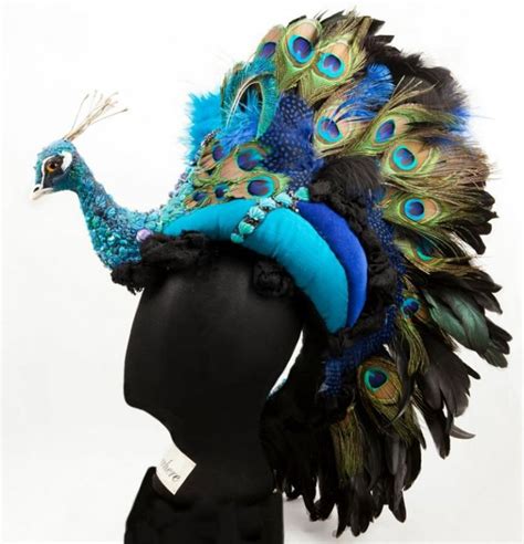 A Bit Much But Yes Let S Wear A Peacock On Our Heads Sorta Fun