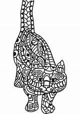 Coloring Kat Kleurplaat Zentangle Pages Cat sketch template