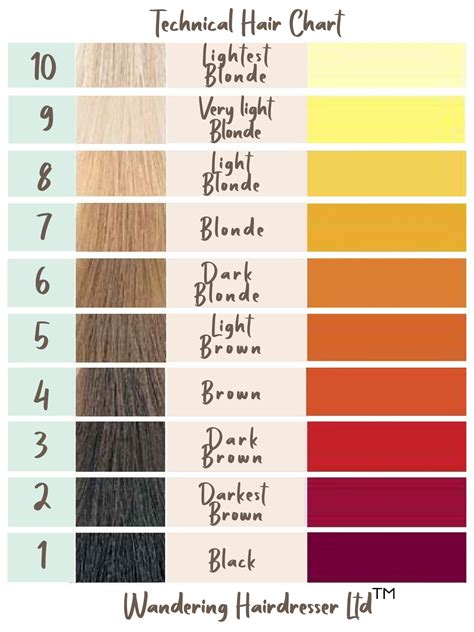 Hair Dye Color Mixing Chart Mxier