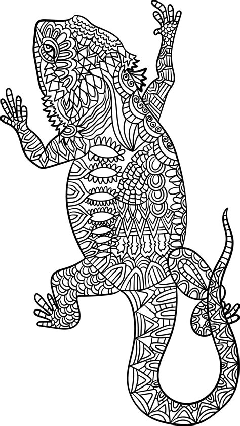bearded dragon mandala coloring pages  adults  vector art
