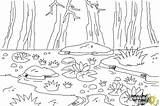 Swamp Draw Coloring Step Drawingnow sketch template