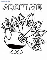 Adopt Coloring Colorear Peacock Roblox Coloringpagesonly Adoption Imprime Pavo sketch template