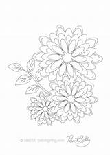 Coloring Gerbera Flower Book Adult Printable 74kb 474px sketch template