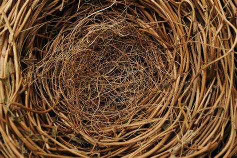 nest picks managers    adapt topfundscom
