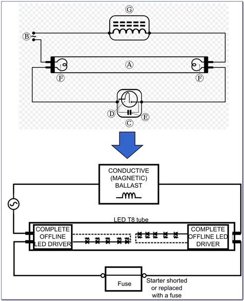pin    rocker switch wiring diagram prosecution