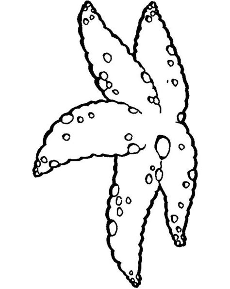 starfish  side coloring page kids play color